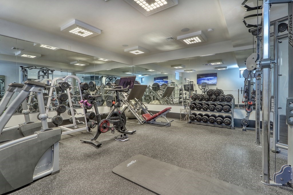 12 Bancroft Street Needham, MA 02492 - Photo 26 of 41