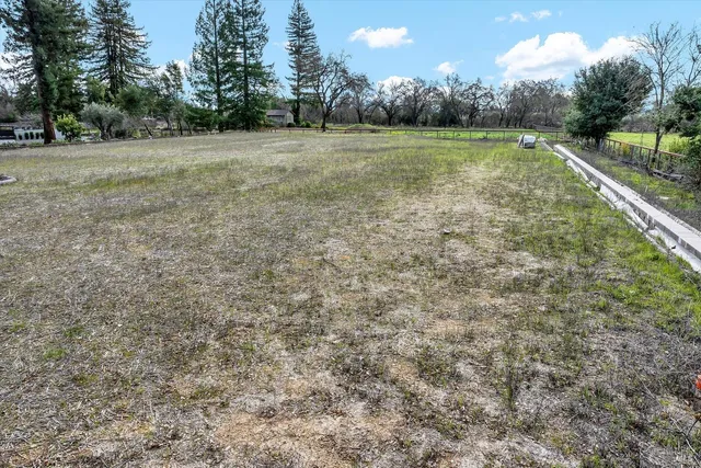 a view of a field with of trees