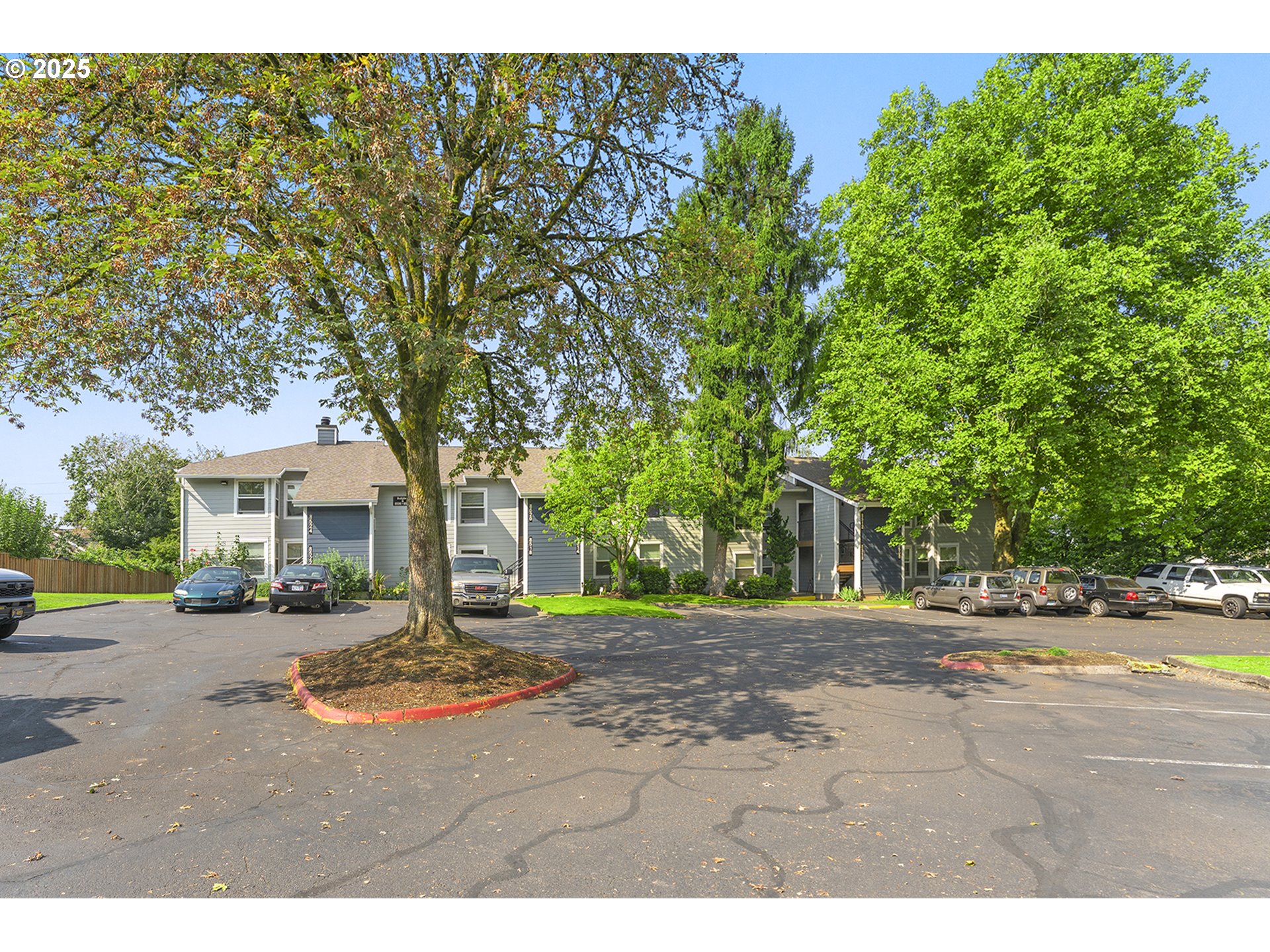 8512 Southwest Mohawk Street Tualatin, OR 97062 - Photo 28 of 33 a view of a yard with plants and trees