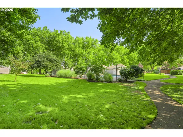 a backyard of a house with plants and large trees
