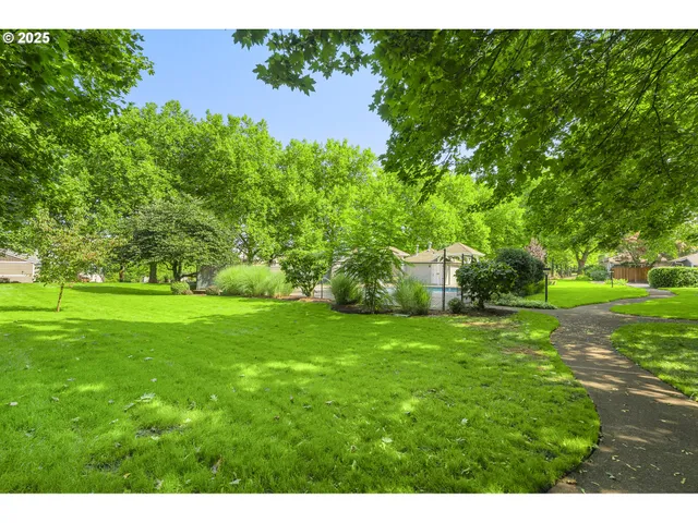 a backyard of a house with plants and large trees