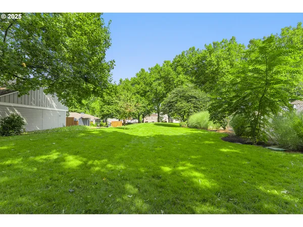 a view of a field of grass and trees