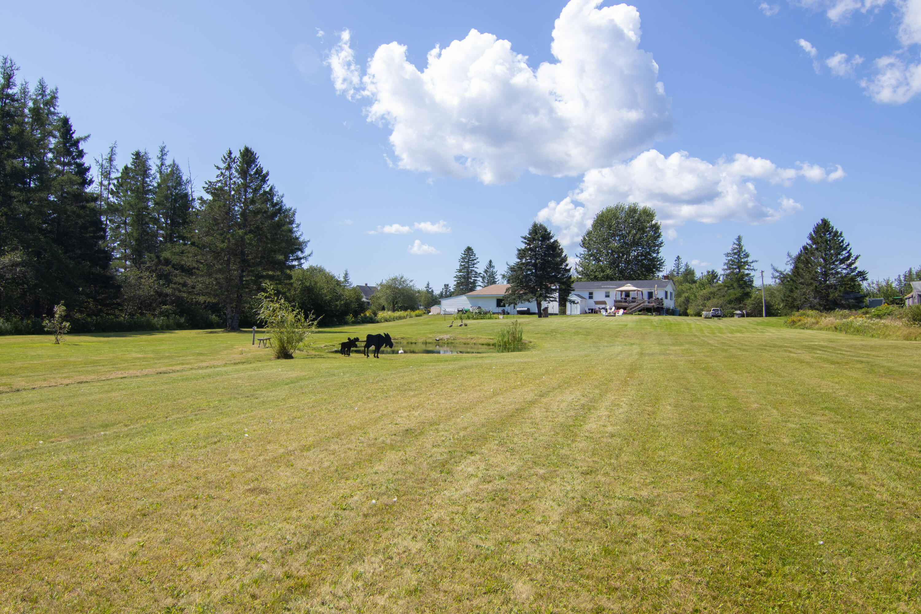 124 Pineo Point Road Harrington, ME 04643 - Photo 55 of 58 124 Wilson District Rd Exterior-9288