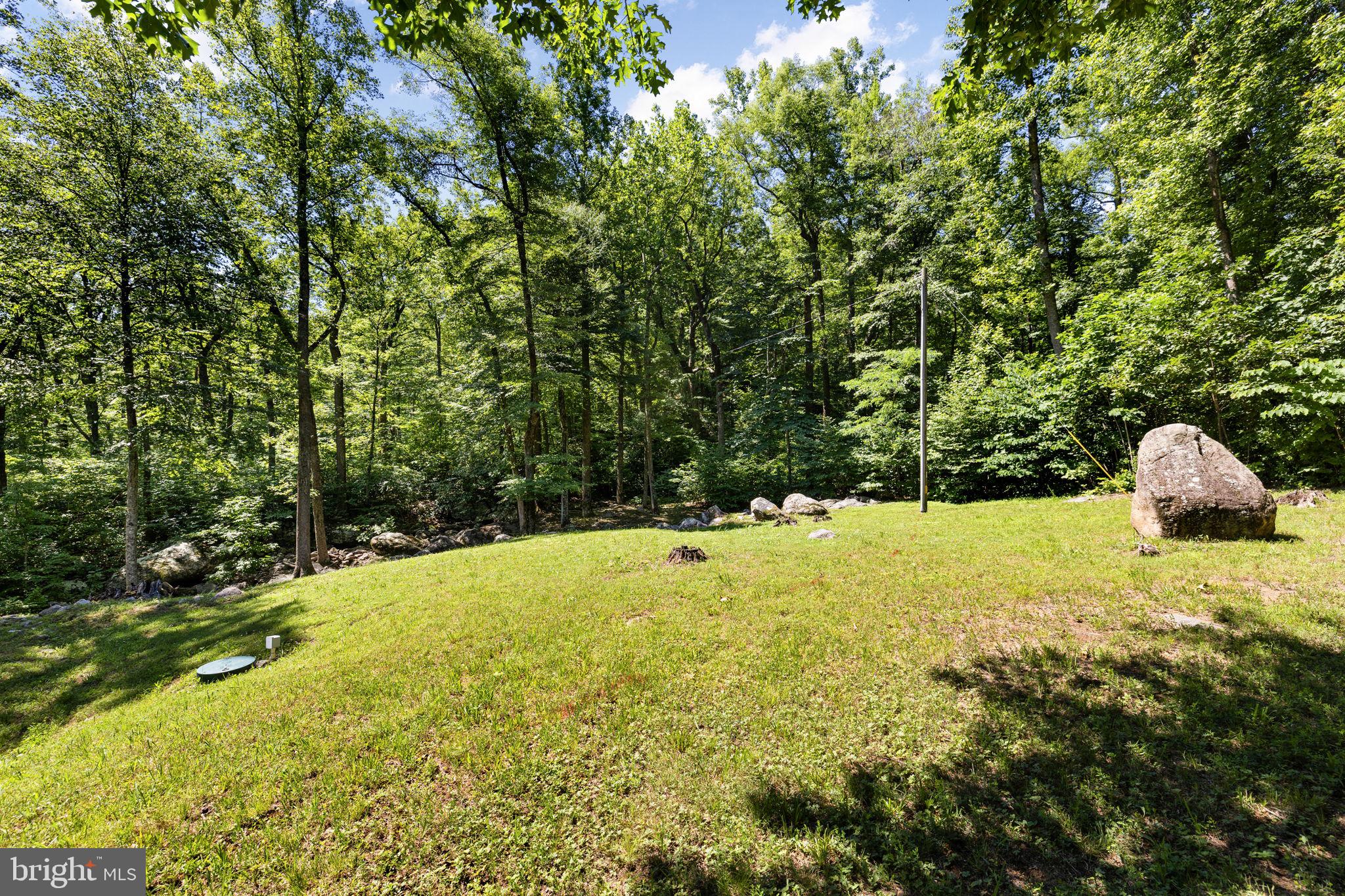 1319 Champe Plain Road Etlan, VA 22719 - Photo 45 of 63 Adjoins Shenandoah National Park