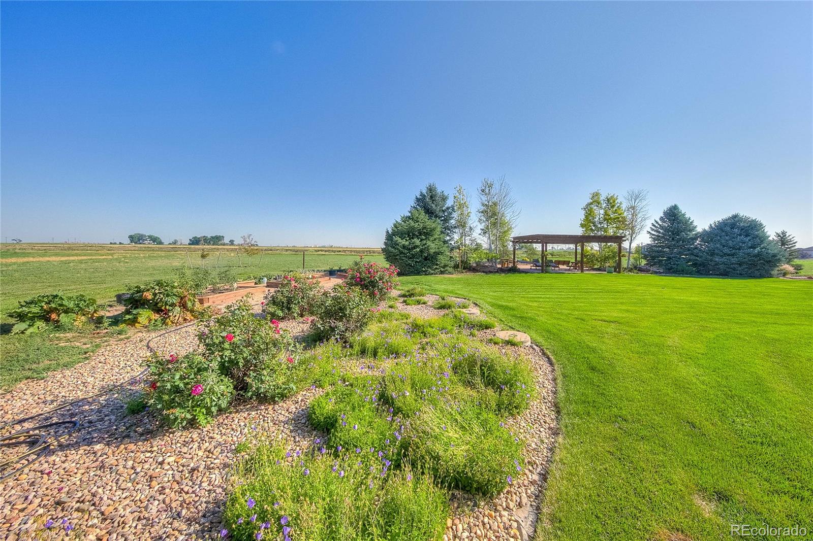 37053 Soaring Eagle Circle Severance, CO 80550 - Photo 8 of 35 a view of a garden with an ocean