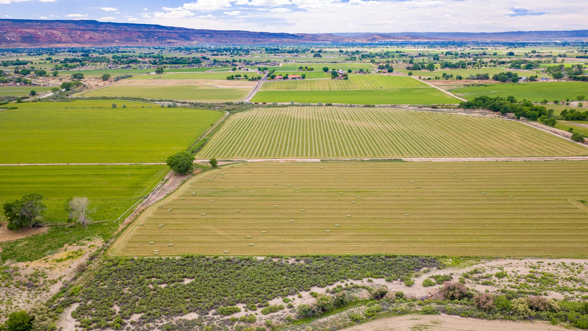 1063 24 Road Grand Junction, CO 81505 - Photo 5 of 14 Gallery Image 5