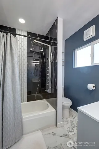 a bathroom with a toilet and a bathtub