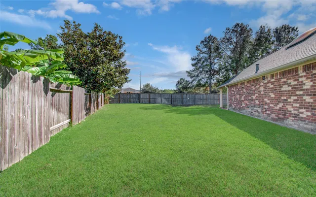 a view of yard with grass and a palm tree