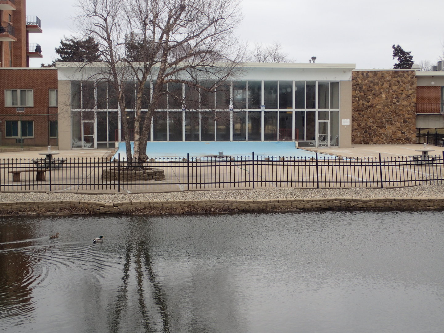 16 East Old Willow Road, Unit 435S Prospect Heights, IL 60070 - Photo 5 of 12