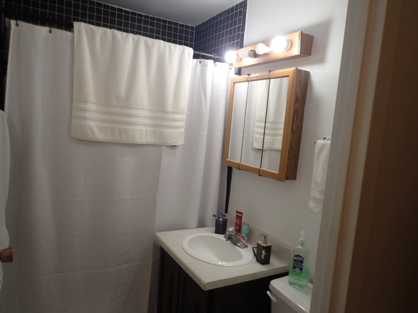 16 East Old Willow Road, Unit 435S Prospect Heights, IL 60070 - Photo 10 of 12