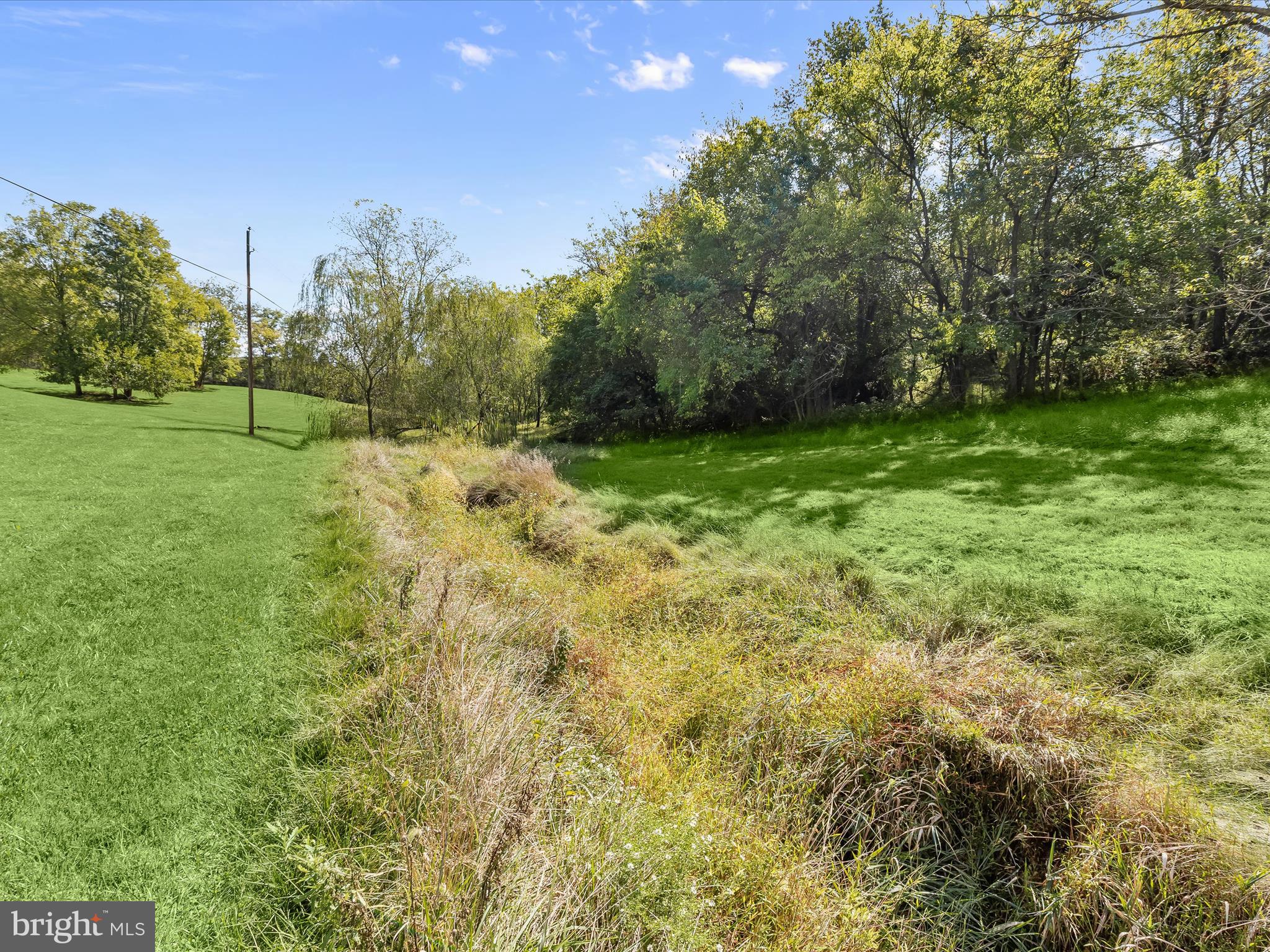 1530 Bowersox Road New Windsor, MD 21776 - Photo 57 of 97 a view of a yard with plants and trees