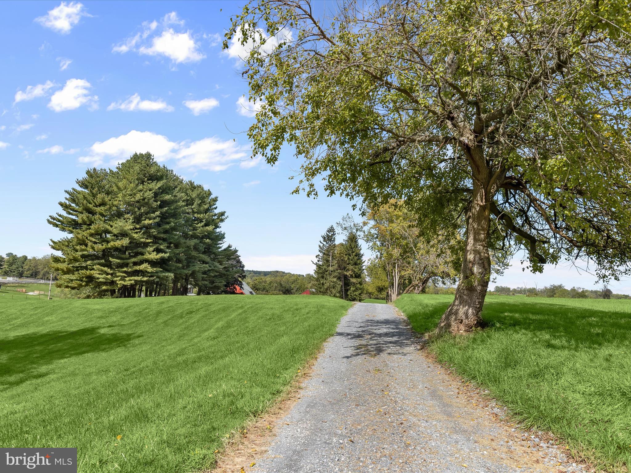 1530 Bowersox Road New Windsor, MD 21776 - Photo 59 of 97 a view of a trees with a yard