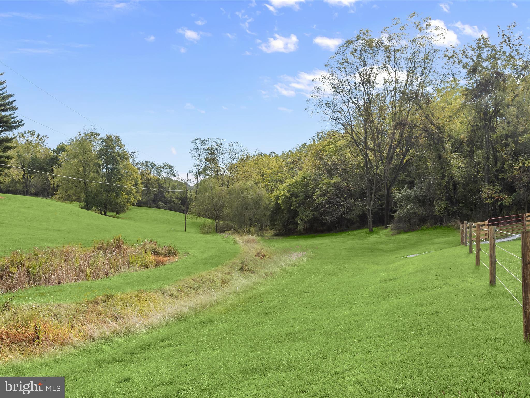 1530 Bowersox Road New Windsor, MD 21776 - Photo 65 of 97 a view of field with grass and trees