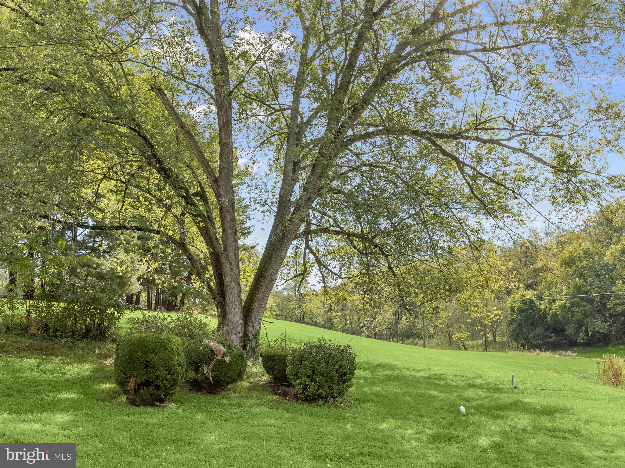 1530 Bowersox Road New Windsor, MD 21776 - Photo 66 of 97 a view of a garden