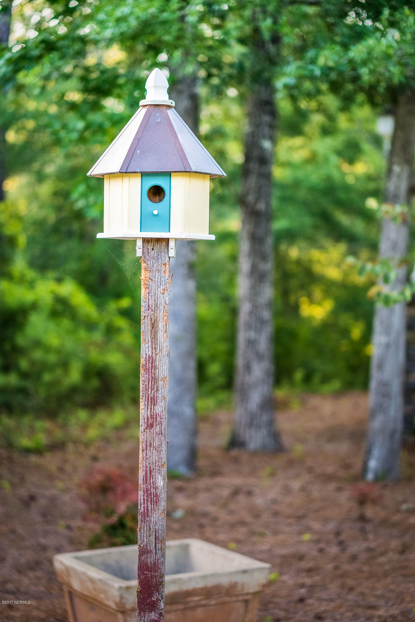 211 Coventry Road Morehead City, NC 28557 - Photo 14 of 18 YOU WILL LOVE THE BIRDS