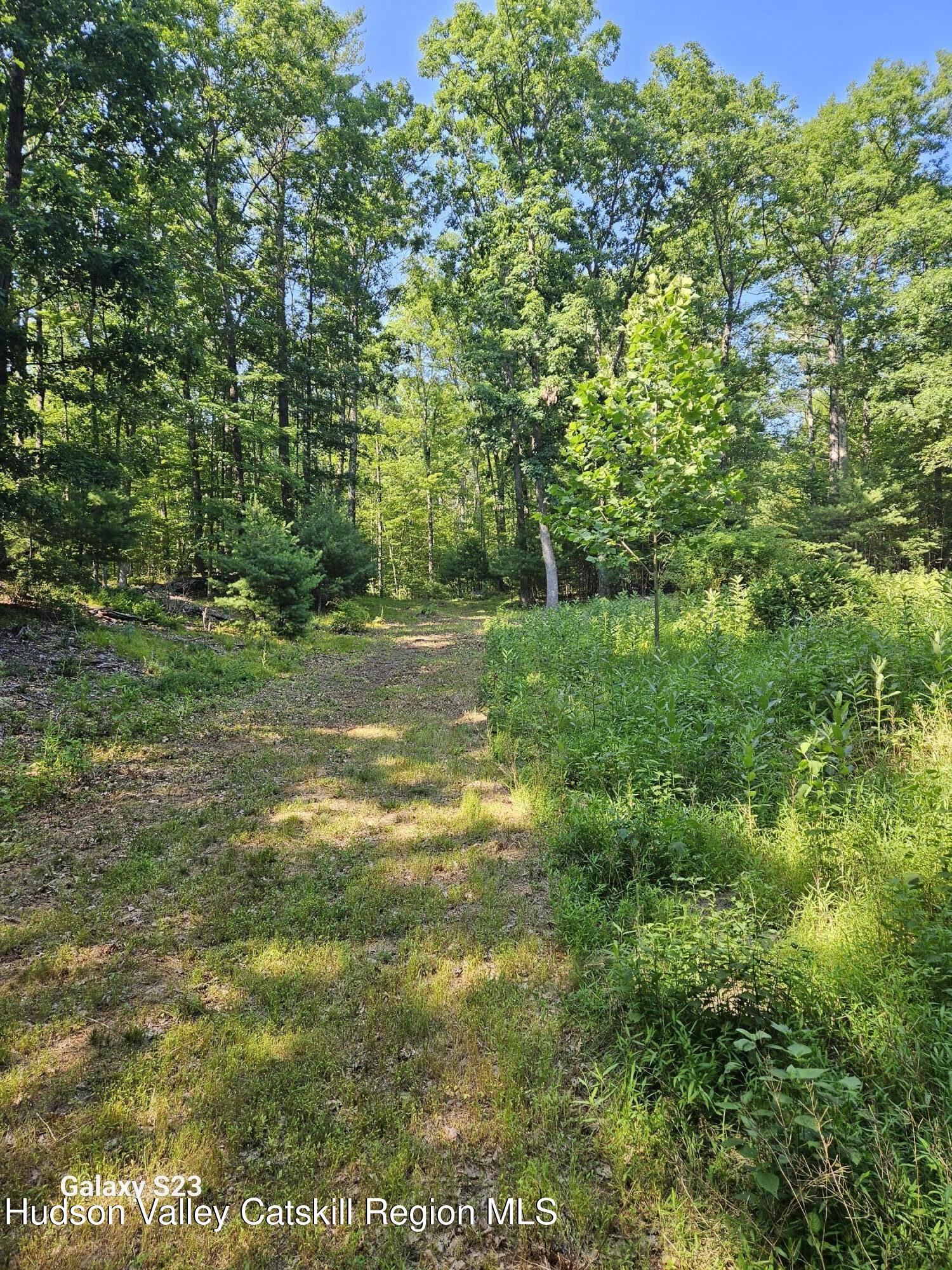 0 Hearts Content Road Catskill, NY 12414 - Photo 1 of 21 20260711_163330