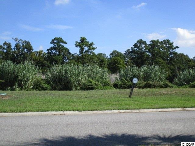 Lot 105 Cravens Street Georgetown, SC 29440 - Photo 1 of 8 Gallery Image 1