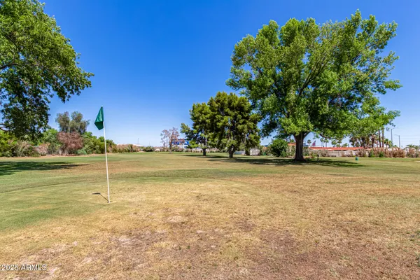 a view of an ocean with large trees and yard