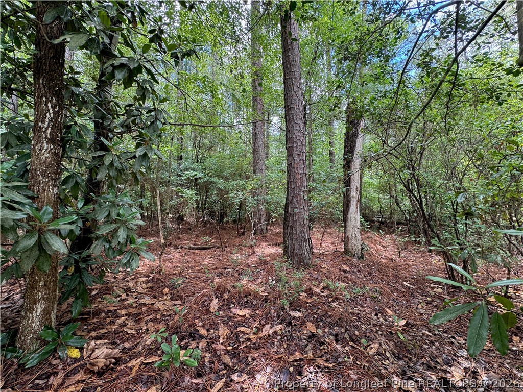 Tbd Myra Road Raeford, NC 28376 - Photo 17 of 23 Lot Interior