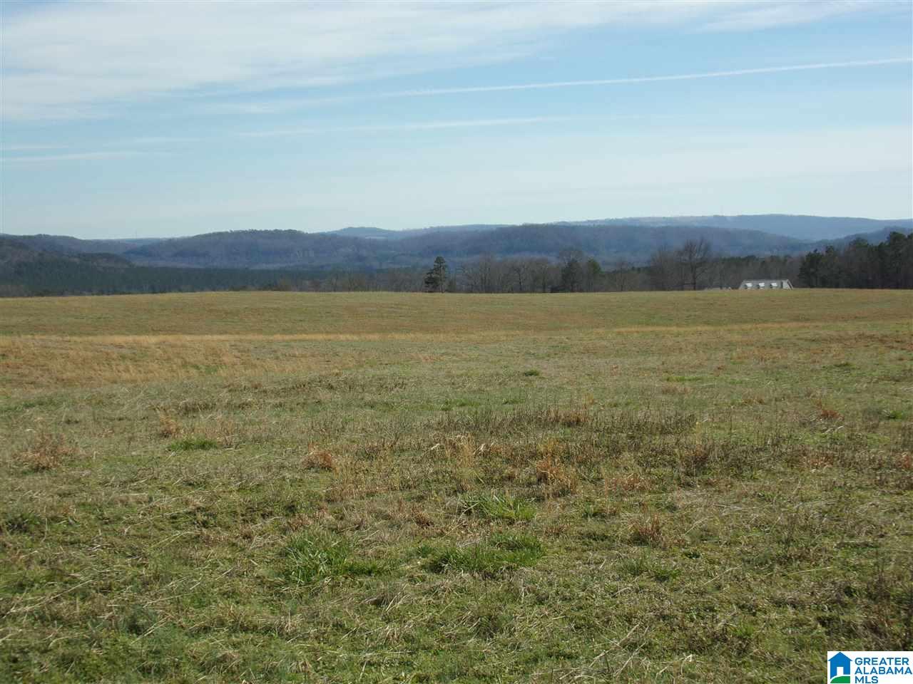 0 Posey Road, Unit TRACT 3 Blountsville, AL 35031 - Photo 2 of 6
