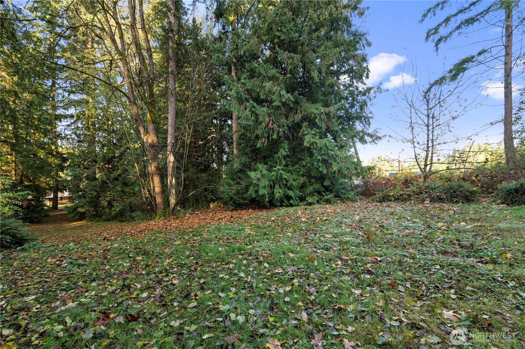 20909 Frank Waters Road Stanwood, WA 98292 - Photo 18 of 24 a view of a yard with a tree