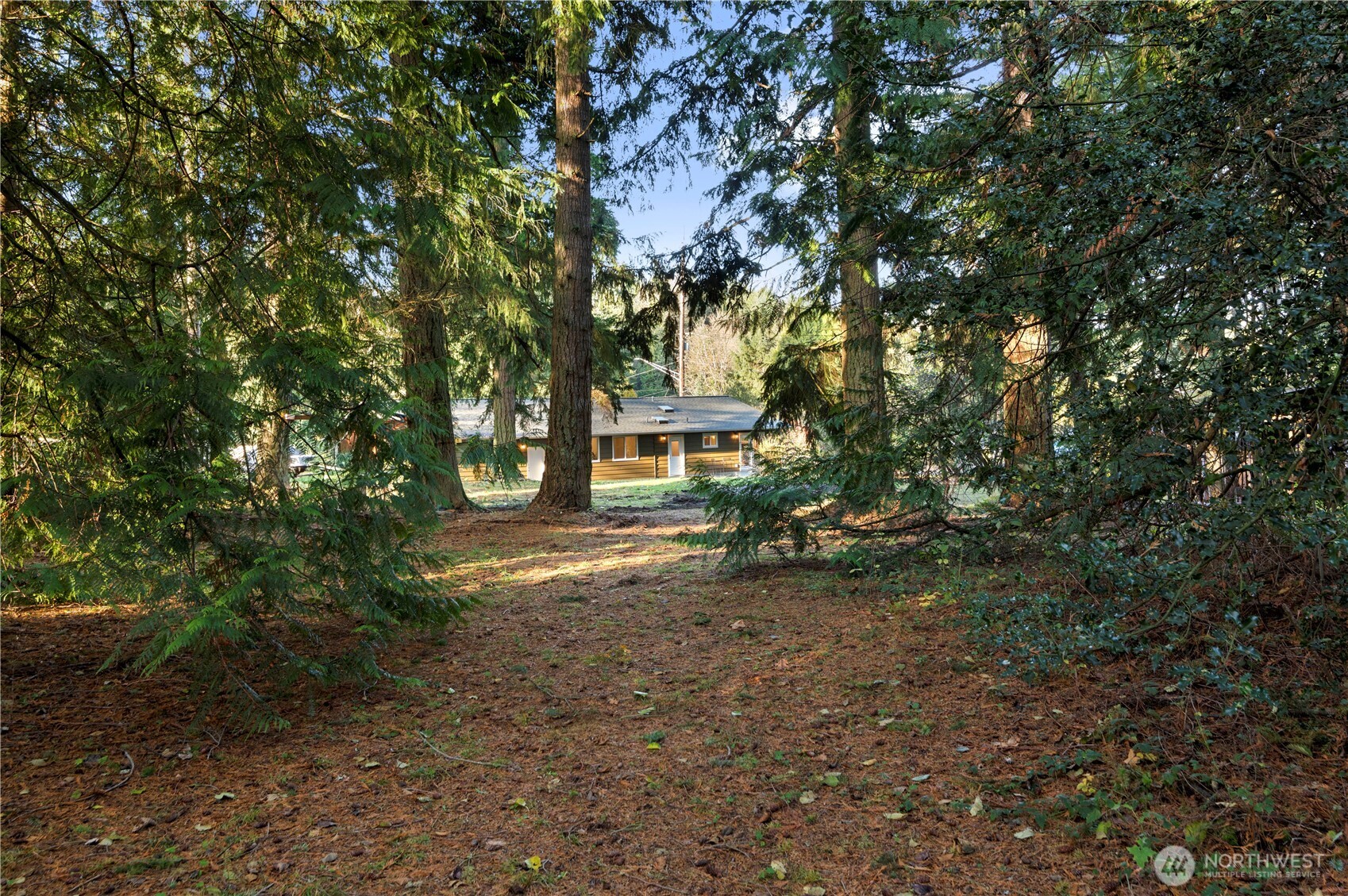 20909 Frank Waters Road Stanwood, WA 98292 - Photo 20 of 24 a view of a yard with plants and trees