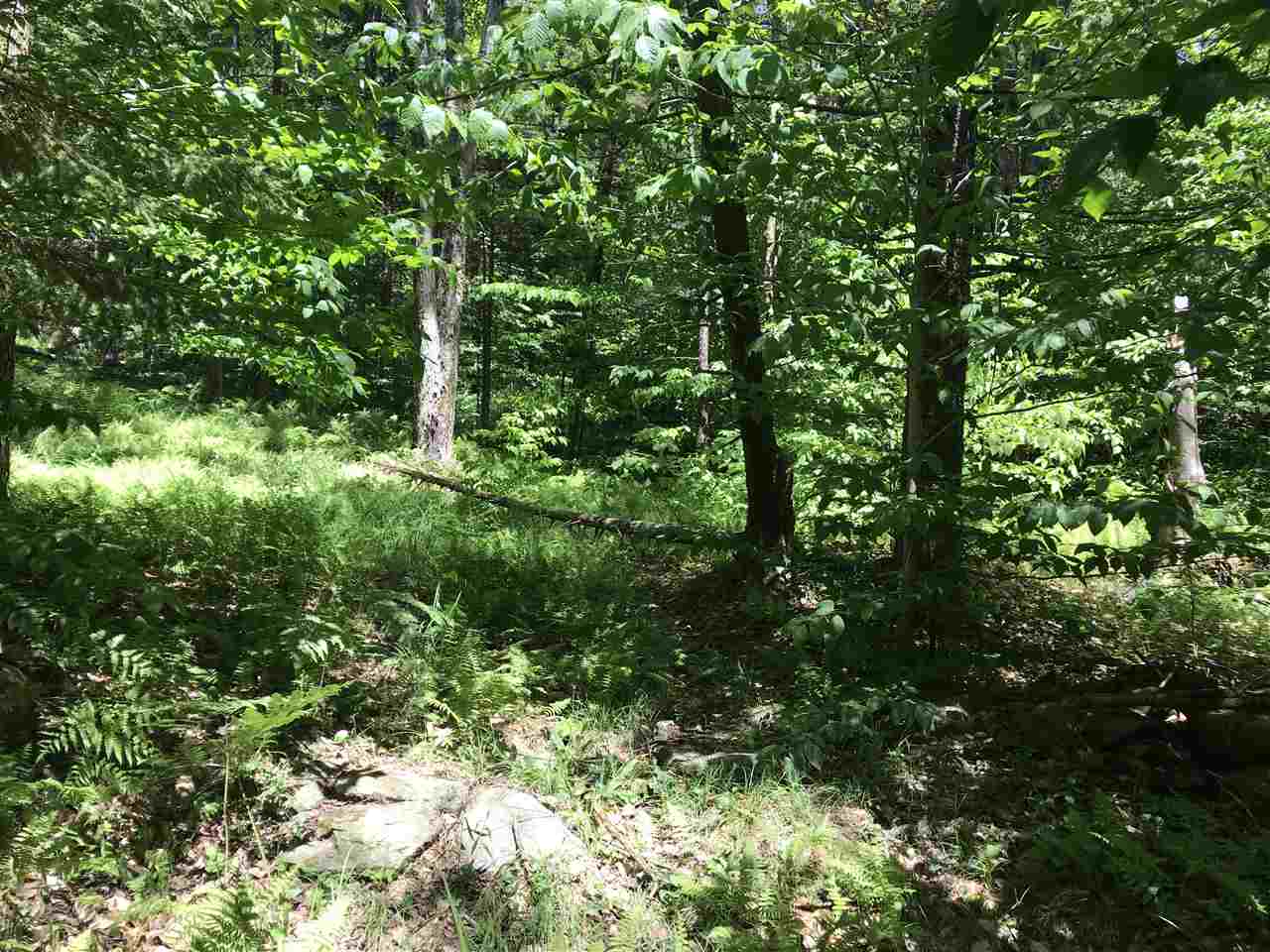 Lot 4 Mountain Road Montgomery Center, VT 05471 - Photo 3 of 9