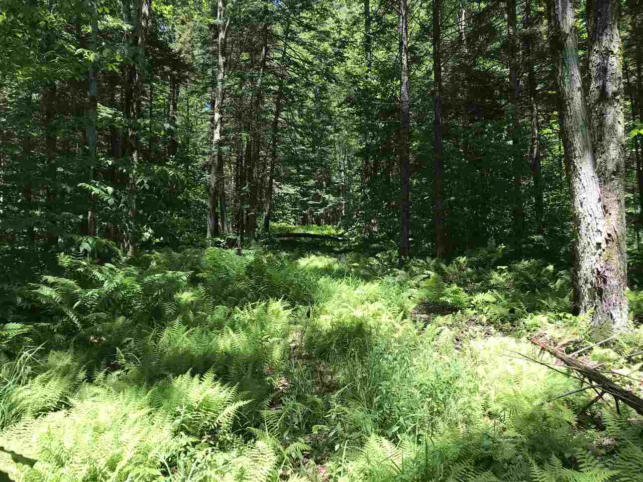 Lot 4 Mountain Road Montgomery Center, VT 05471 - Photo 4 of 9