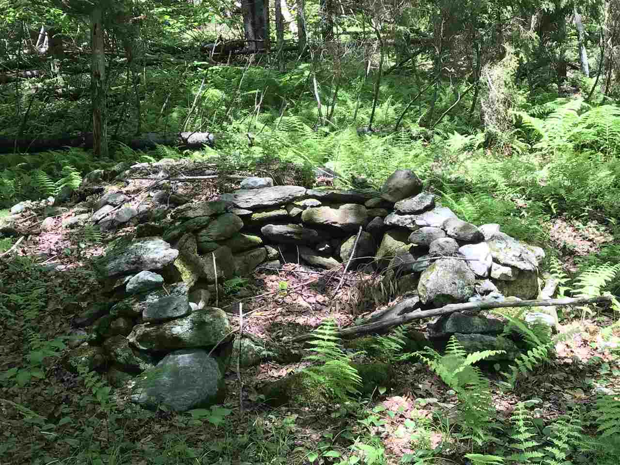 Lot 4 Mountain Road Montgomery Center, VT 05471 - Photo 6 of 9