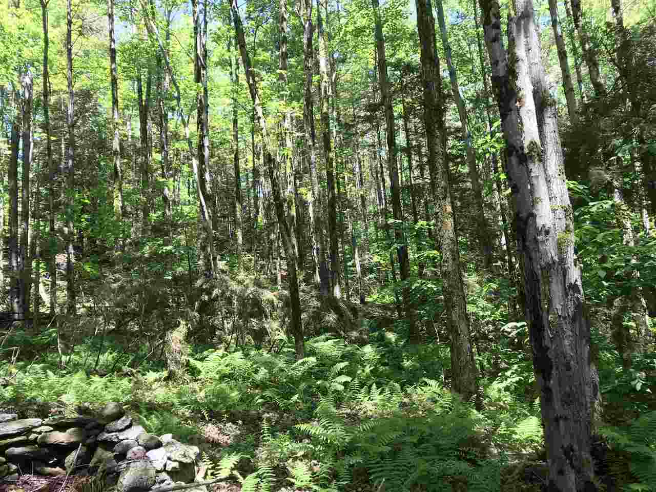 Lot 4 Mountain Road Montgomery Center, VT 05471 - Photo 7 of 9