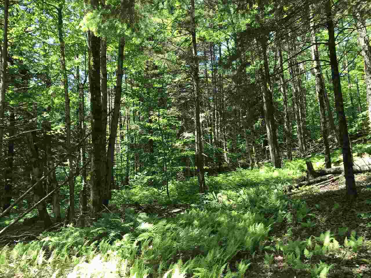 Lot 4 Mountain Road Montgomery Center, VT 05471 - Photo 8 of 9