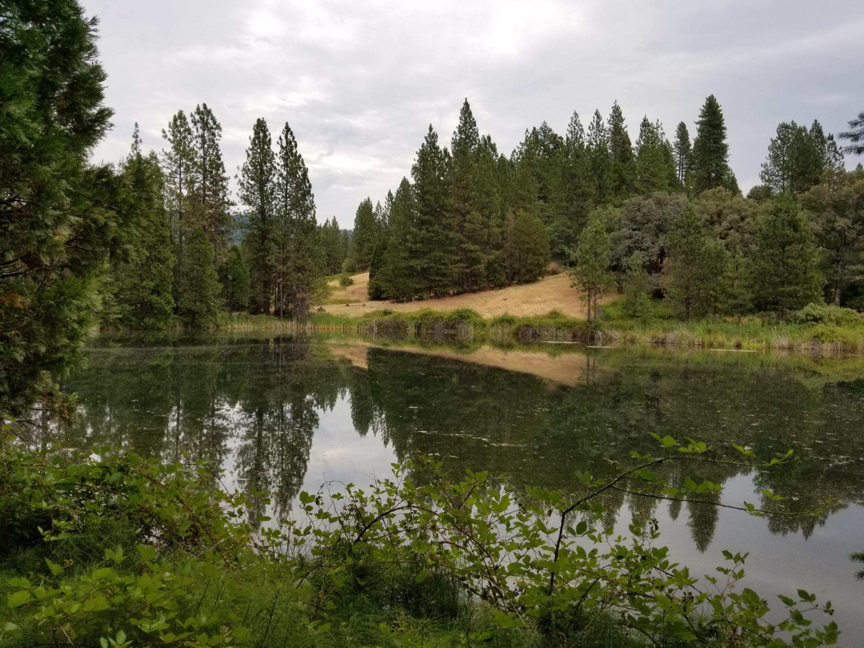 13234 Fern Road Whitmore, CA 96096 - Photo 3 of 16 a view of lake