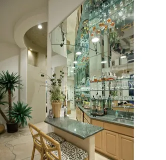 a kitchen with a sink and potted plant