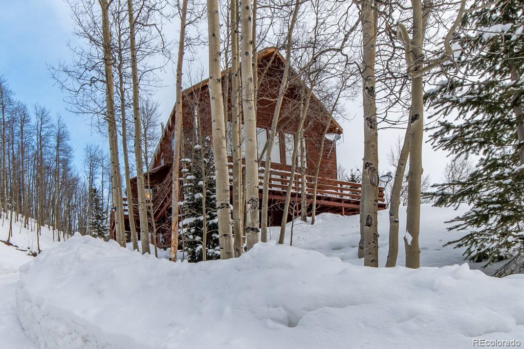 653 Roberts Road Alma, CO 80420 - Photo 1 of 35 Gallery Image 1