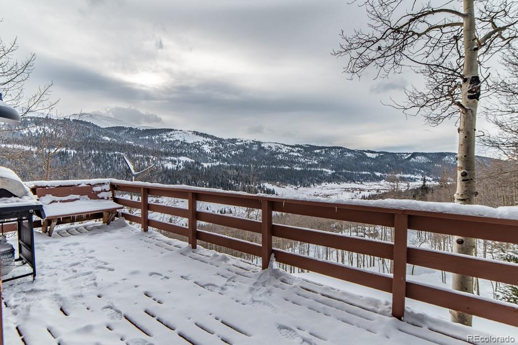 653 Roberts Road Alma, CO 80420 - Photo 33 of 35 Gallery Image 33