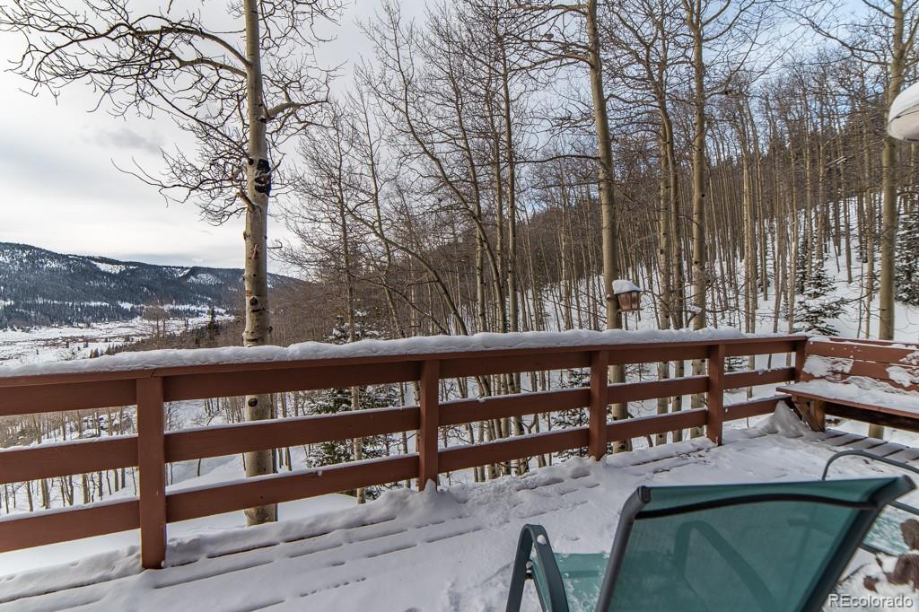 653 Roberts Road Alma, CO 80420 - Photo 34 of 35 Gallery Image 34