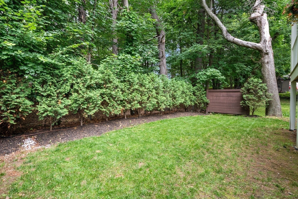 103 Warwick Road, Unit 103 Newton, MA 02465 - Photo 33 of 38