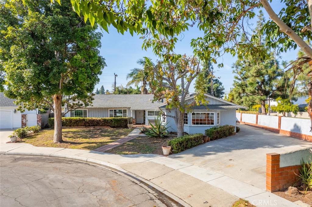 a view of a house with a tree in front of it