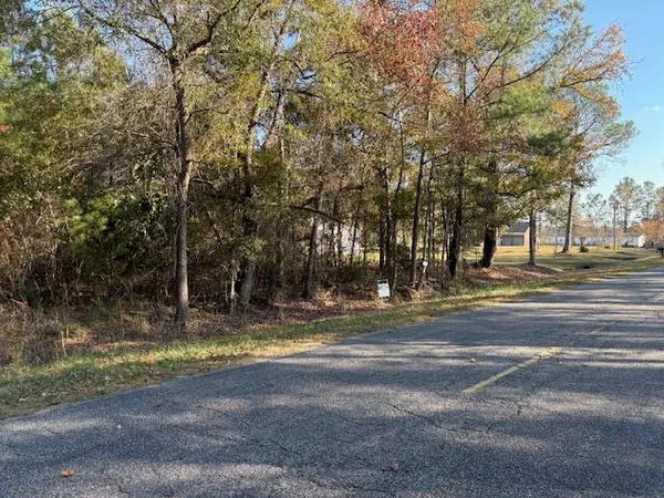 $185,000 | 0 Wilson Landing Road, Pineville, SC 29468