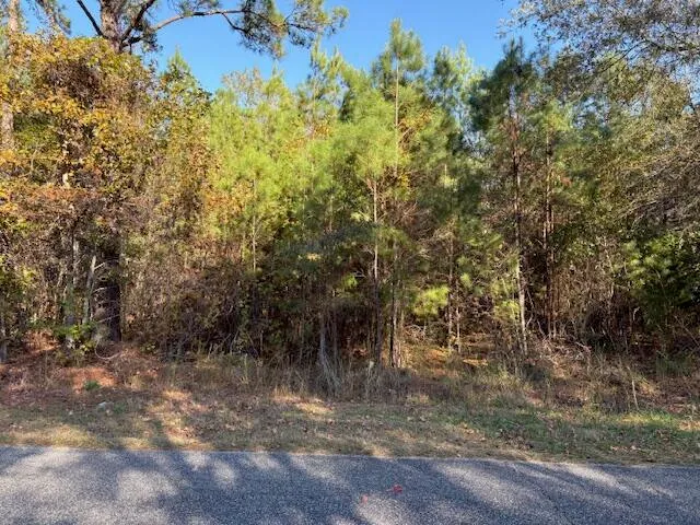 $195,000 | 0 Wilson Landing Road, Pineville, SC 29468