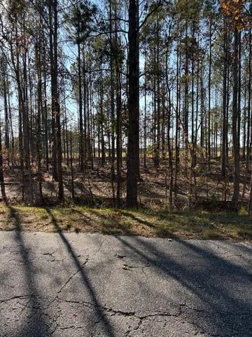 $195,000 | 0 Wilson Landing Road, Pineville, SC 29468