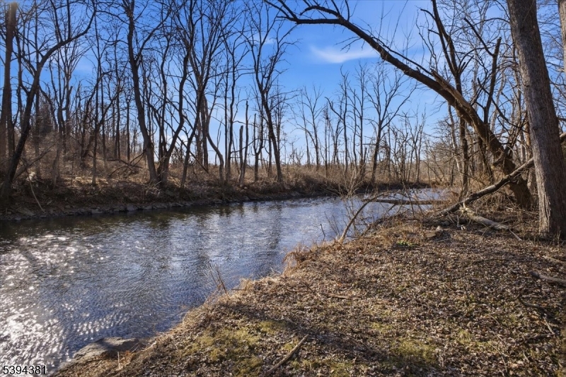 192 Bryans Road Hampton, NJ 08827 - Photo 28 of 38 a view of lake with tree