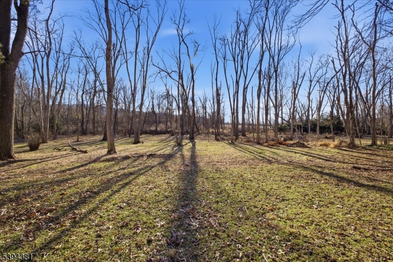 192 Bryans Road Hampton, NJ 08827 - Photo 32 of 38 a view of outdoor space with yard