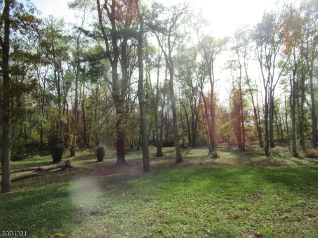 a view of park space