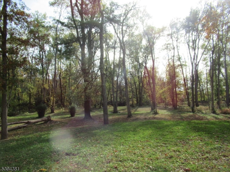 192 Bryans Road Hampton, NJ 08827 - Photo 9 of 32 a view of park space