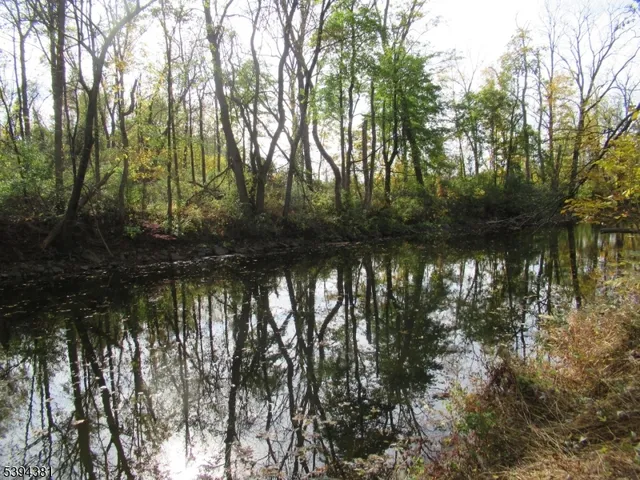 a view of lake with green space