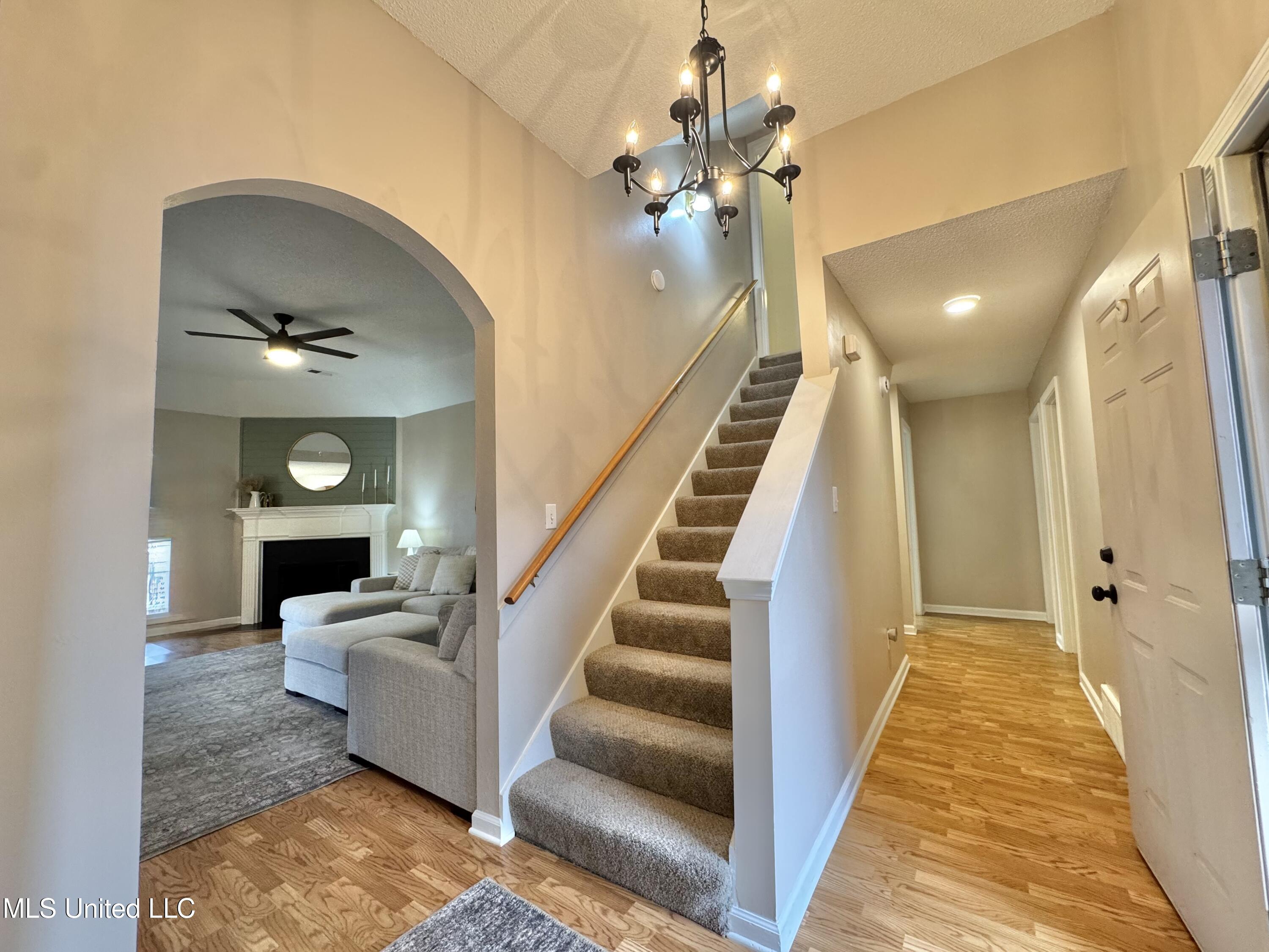 5608 Marlin Place Olive Branch, MS 38654 - Photo 6 of 48 IMG_5356