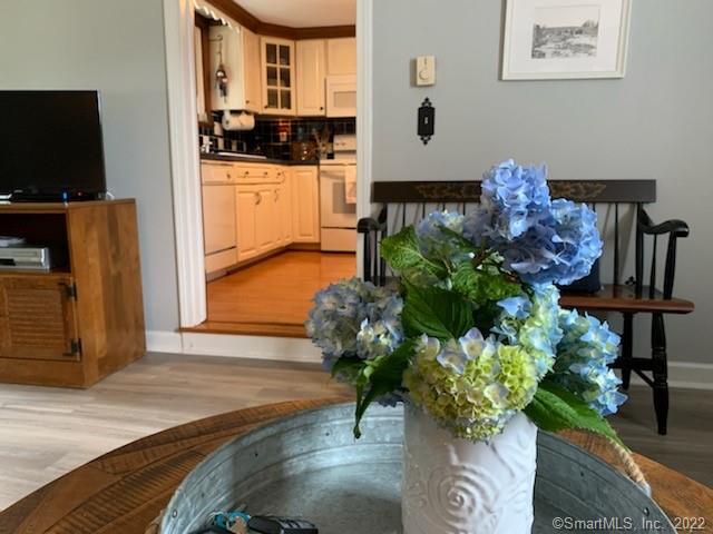 22 Fairview Avenue Madison, CT 06443 - Photo 9 of 31 a potted plant sitting on a wooden floor