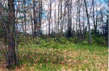 South Flarity Road Brethren, MI 49619 - Photo 1 of 1 Primary Photo