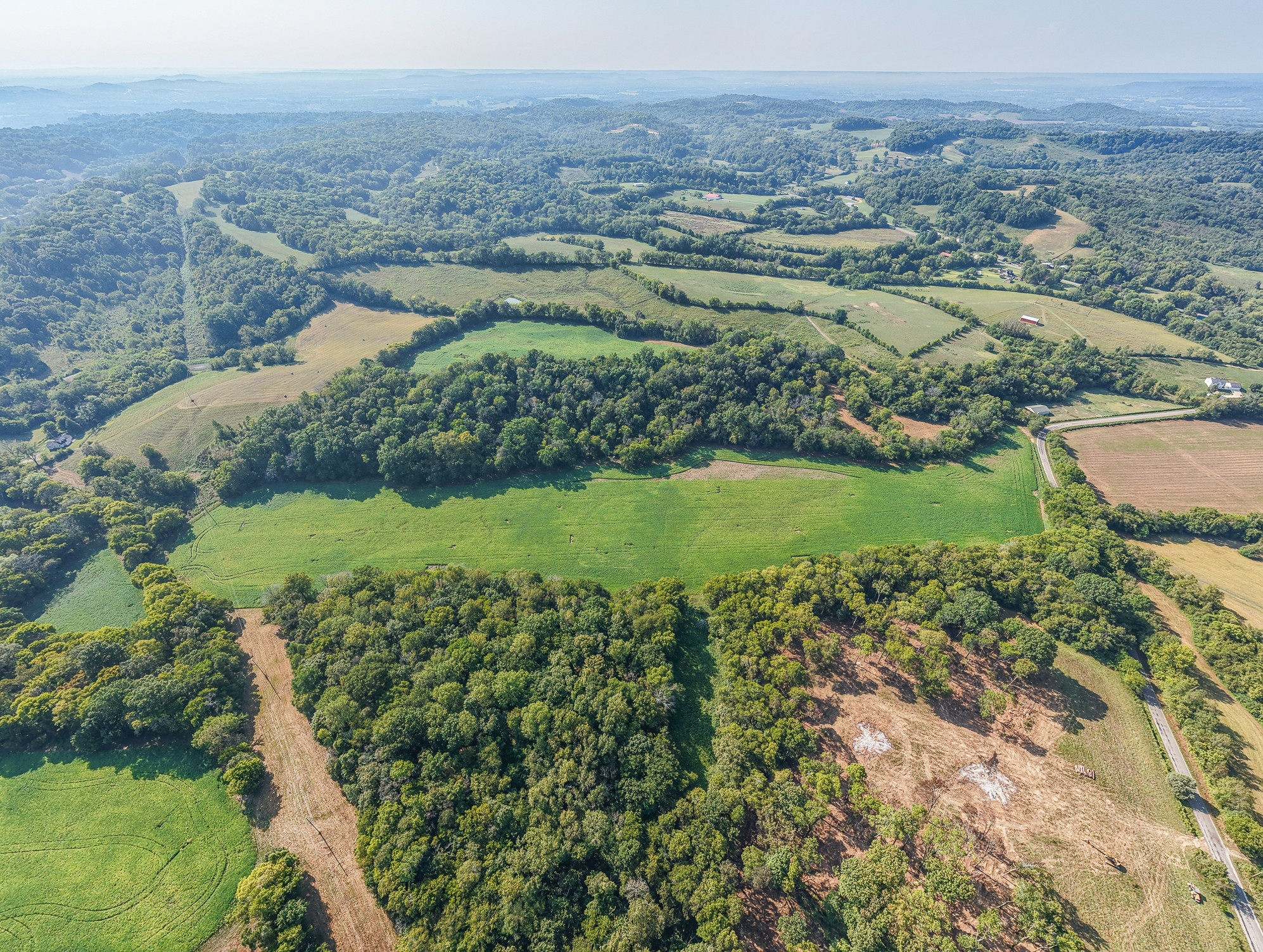 2 Craig Bridge Road Williamsport, TN 38487 - Photo 6 of 7 a view of a lush green field